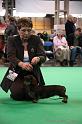 Crufts2011_2 1560